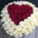 ���� ����, ������� - ��������� 24 ������� 2023 � ������ ���� ����������