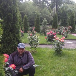 �����, ���������, 39 ���