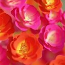 ���� �������, �����������, 52 ���� - ��������� 17 ������ 2023