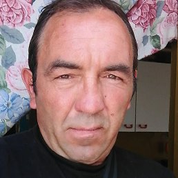 ������, ������, 43 ����