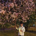  , -, 64  -  27  2023    