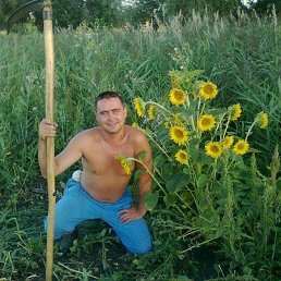 ���� ������, ���������, 48 ��� - ��������� 15 ������� 2023