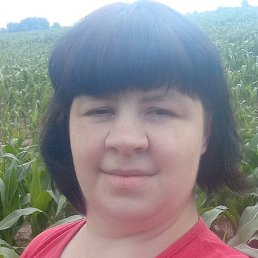 ��������, �����, 37 ���