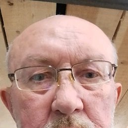 ����, �����-���������, 66 ���