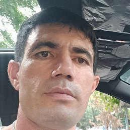 ��������, �����������, 39 ���