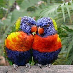 ���� �����, �����-���������, 67 ��� - ��������� 23 ������� 2023