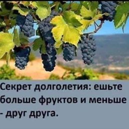 ���� Zyoma, ������, 47 ��� - ��������� 15 ������� 2023