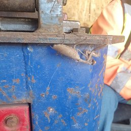 ������, �����������, 35 ���