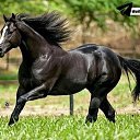 ���� ���, ������, 37 ��� - ��������� 2 ��� 2023