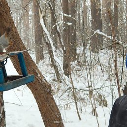 ���� ����, ������������, 45 ��� - ��������� 1 ������ 2023