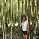 ���� ������, ������, 60 ��� - ��������� 3 ��� 2023 � ������ ���� ����������