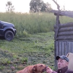 ���� �����, ������, 44 ���� - ��������� 2 �������� 2023