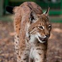 ���� Fffff, ������, 50 ��� - ��������� 27 ��� 2023 � ������ ���� ����������