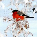 ���� ���������, ���, 56 ��� - ��������� 28 ����� 2023