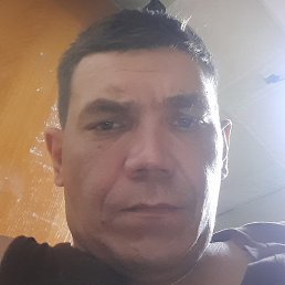 ������, ������, 37 ���