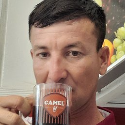 �����, ������, 36 ���