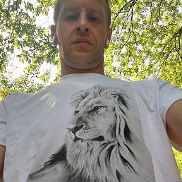 ��������, ������, 42 ����