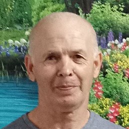 �����, �������, 65 ���