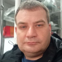 ����, ����������, 43 ����