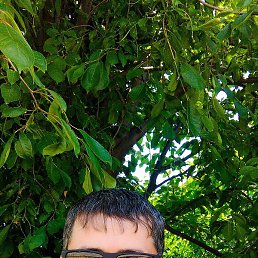 Ulmasjon, ��������, 41 ���