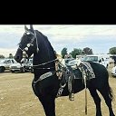 ���� ����, ����������, 30 ��� - ��������� 13 ������� 2023 � ������ ���� ����������