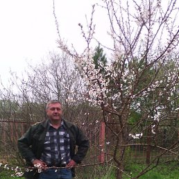 ������, ������, 59 ���