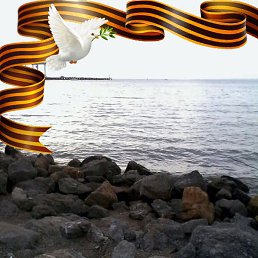 Svetlana, �������, 59 ���