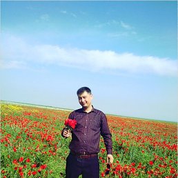 �������, �����, 44 ����