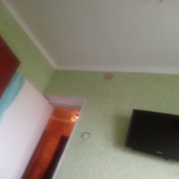 ���� �����, �������, 38 ��� - ��������� 7 ��� 2023