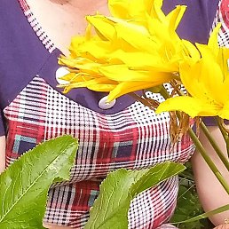 ������, ��������, 71 ���