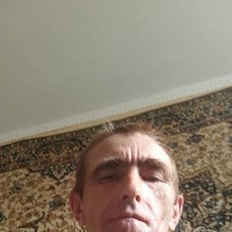 ���� ������, ���������, 52 ���� - ��������� 15 ������� 2023