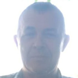 ������., �����������, 40 ���