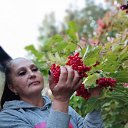 ���� �������, ������������, 59 ��� - ��������� 29 �������� 2023 � ������ ���� ����������