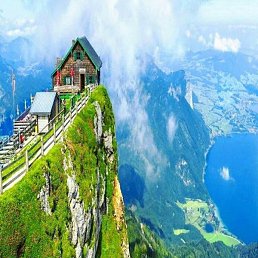 Tarkan, ���������, 51 ���