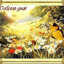 ���� ����, ������ ��������, 68 ��� - ��������� 9 ���� 2023 � ������ ���� ����������