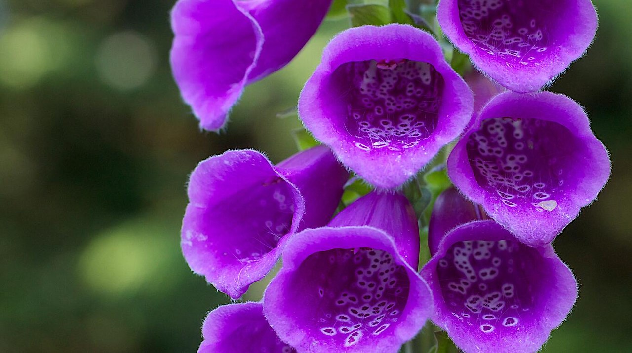 КРАСИВАЯ МУЗЫКА ДЛЯ ДУШИ --ПОДЕЛИСЬ С ДРУГОМ | ПРИВЕТСТВИЯ и ПОЖЕЛАНИЯ ...