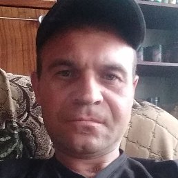 ���������, ���������, 41 ���