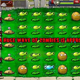 ���������, ������, 23 ����