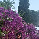 ���� ��������, �����-���������, 50 ��� - ��������� 10 ���� 2023 � ������ ���� ����������