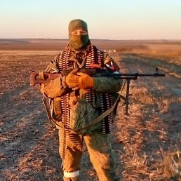 �������, ���������, 86 ���