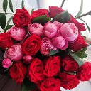 ���� Lana, �����, 40 ��� - ��������� 23 ������� 2023 � ������ ���� ����������