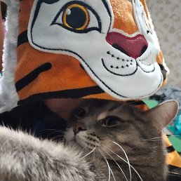 �������, �����������, 53 ����