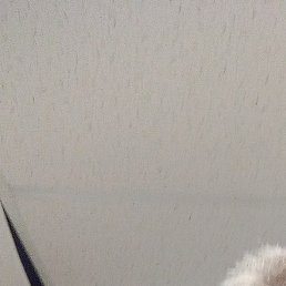 ��������, ������, 52 ����