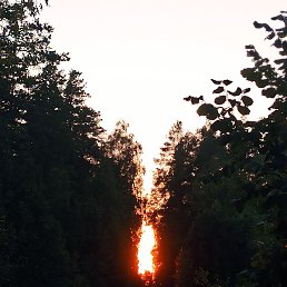 �������, �������, 46 ���