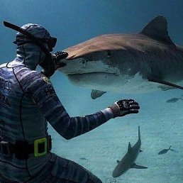 ������, �����-���������, 42 ����