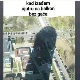 ����, ������, 37 ���