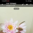 ���� �������, ��������, 71 ��� - ��������� 7 ���� 2023