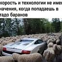 ���� ����, ��������������, 61 ��� - ��������� 30 ��� 2023 � ������ ���� ����������