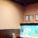 ���� �������, ����, 67 ��� - ��������� 7 ���� 2023