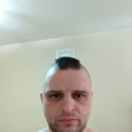 ���� ������, �������, 41 ��� - ��������� 28 ��� 2023